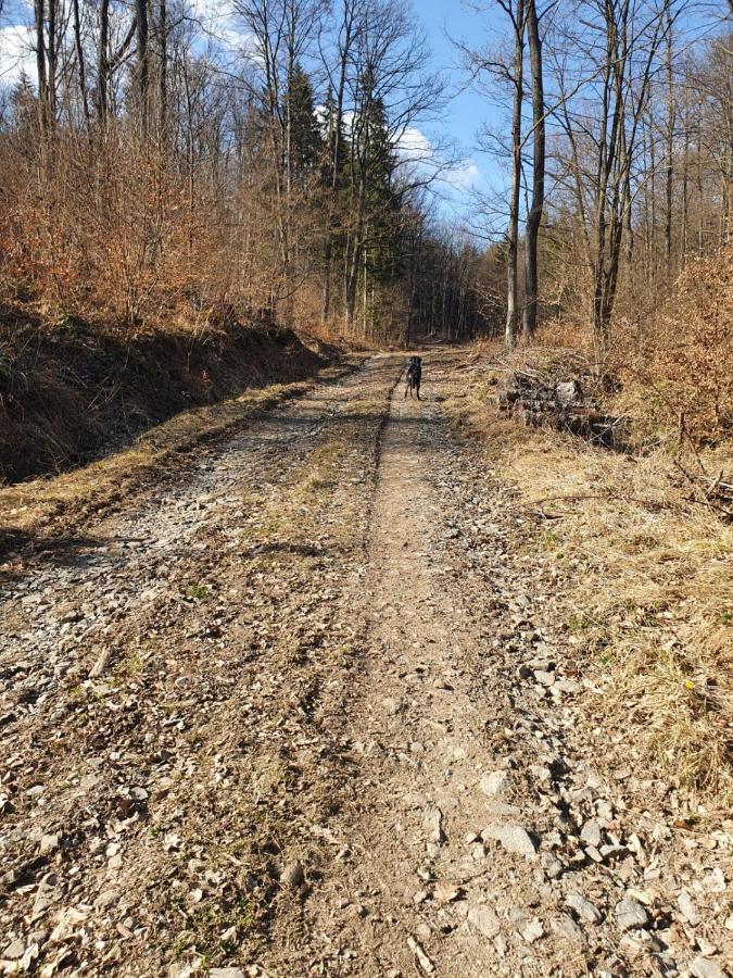 Horska Chata V Srdci Kremnickych Hor Bańska Bystrzyca Zewnętrze zdjęcie