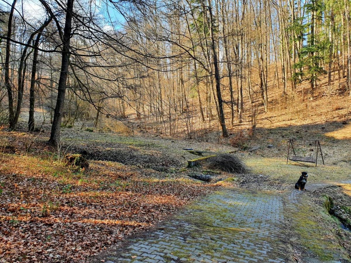 Horska Chata V Srdci Kremnickych Hor Bańska Bystrzyca Zewnętrze zdjęcie